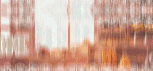 a blurred image of a forest with trees in the foreground