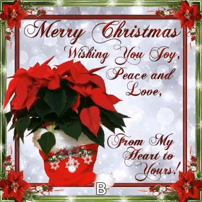 Merry Christmas Poinsettia GIF - Merry Christmas Poinsettia Love Joy Peace GIFs