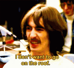 a man with a mustache says " i don t want to go on the roof "