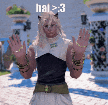a video game character with hai > 3 written on the bottom