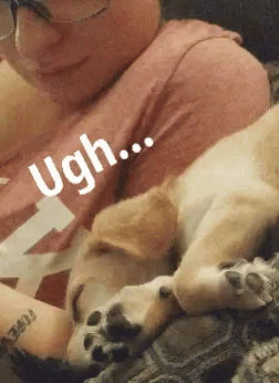 No Thanks Bedtime GIF - No Thanks Bedtime Puppy Day GIFs