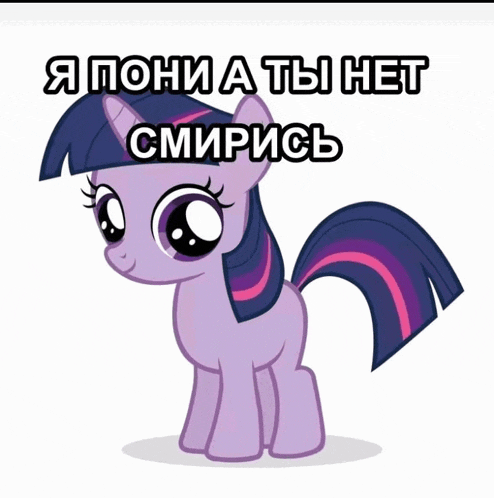twilight sparkle from my little pony stands in front of a white background with russian writing