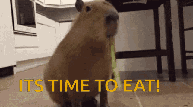 Eating Time To Eat GIF - Eating Time To Eat Eat GIFs