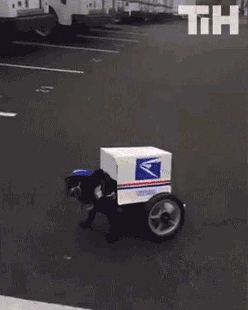 Her Comes The Mail Mail Dog GIF - Her Comes The Mail Mail Dog Mail Delivery GIFs