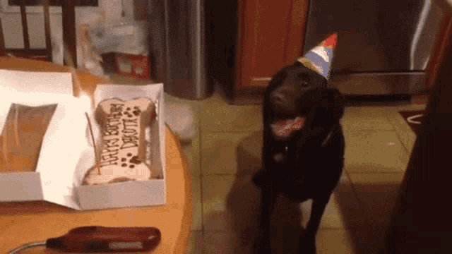 Dog Birthday Cake GIF - Dog Birthday Cake Happy Birthday Doggy GIFs