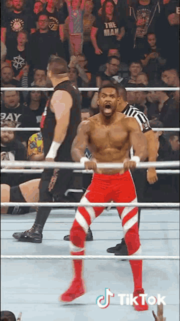 a man in a wrestling ring with a shirt that says " the man "