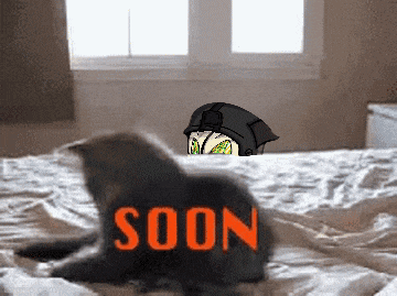 a cat is laying on a bed with the word soon in orange letters