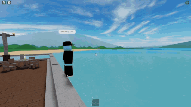 a person in a video game is standing next to a body of water with a message that says " bananane apa "