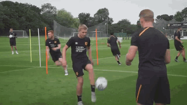 Dan Batty Daniel Batty GIF