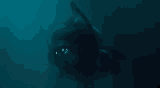 a scuba diver is swimming in the dark waters of the ocean