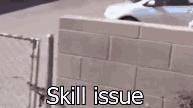 Skill Issue Skill GIF
