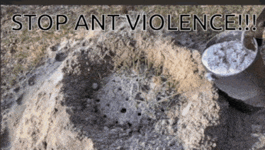 a picture of a hole in the ground with the words stop ant violence below it