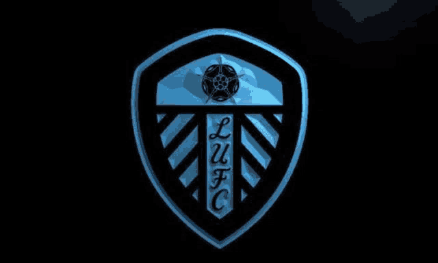a blue and black shield with a soccer ball on it is on a black background .