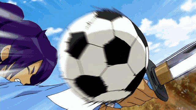 a cartoon of a person holding a soccer ball with a sword