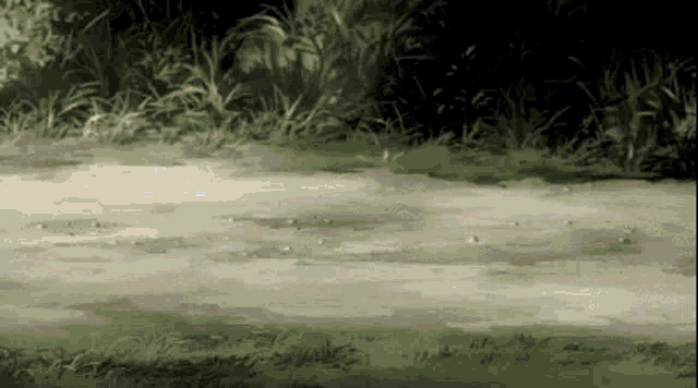 a dirt road with grass on the side of it and trees on the side of it .