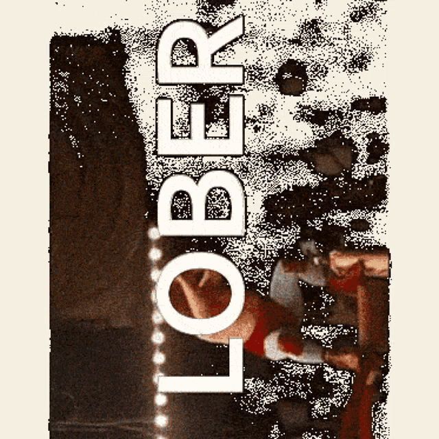 Lobre Lober GIF