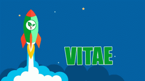 Vitae Vitae Rocket GIF - Vitae Vitae Rocket GIFs