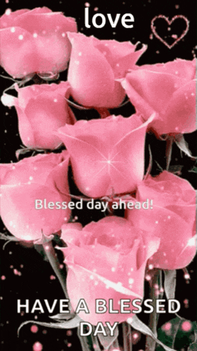 a bunch of pink roses with the words have a blessed day