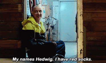 Split Hedwig GIF - James Mc Avoy Red Socks Personality GIFs