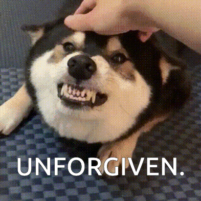 Elle Shiba GIF