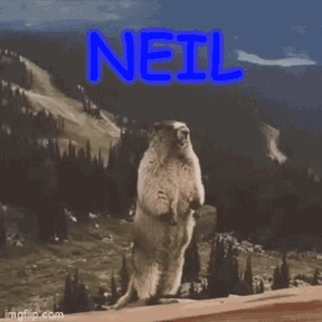 Neil Beaver Screaming Name Beaver GIF - Neil Beaver Screaming Name Neil Beaver GIFs