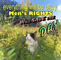 a black and white cat in a field with the words " everything will be okay men 's rights will save the day " above it