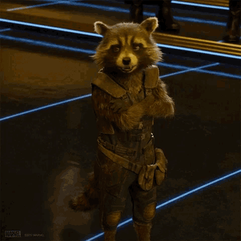 rocket raccoon from the movie guardians of the galaxy stands with his arms crossed