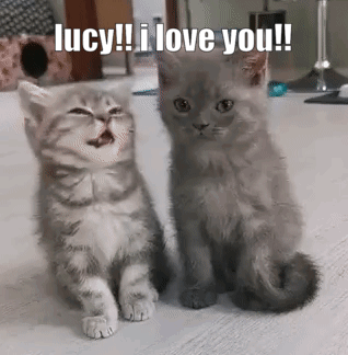 Lucy Love GIF - Lucy Love I Love Lucy GIFs