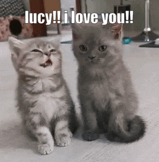 two kittens are sitting next to each other on the floor and one of them is saying i love you .