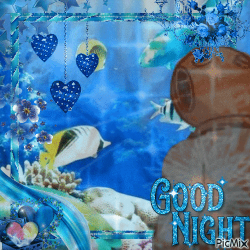a picture of a diver in the ocean with the words good night