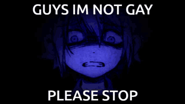 a picture of a girl with the words guys im not gay please stop below it