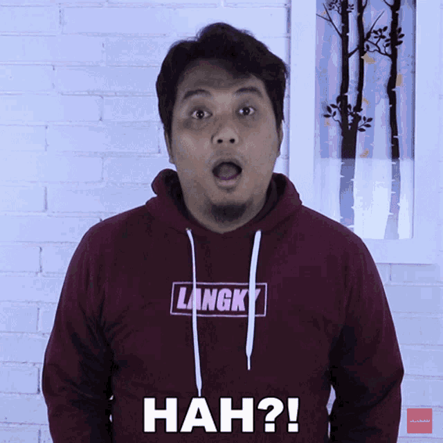 a man wearing a burgundy langky hoodie says nah