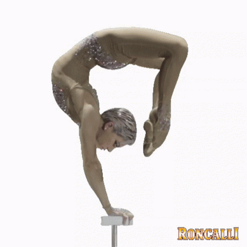 Roncalli Circus GIF - Roncalli Circus Roll GIFs