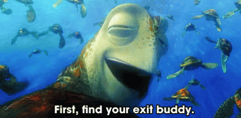 First, Find Your Exit Buddy - Finding Nemo GIF - Buddy Exit Buddy Finding Nemo GIFs