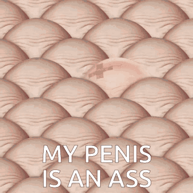 My Penis Is An Ass Denton Meme GIF - My Penis Is An Ass Denton Meme GIFs