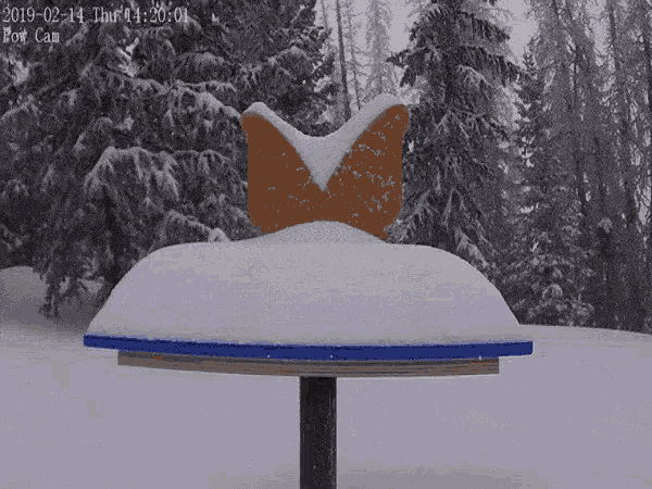 Stop Snowing Too Much Snow GIF - Stop Snowing Too Much Snow GIFs