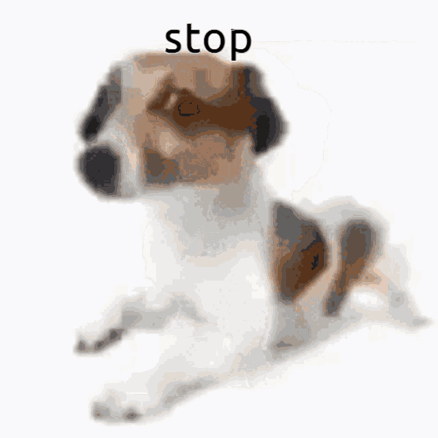a blurry picture of a dog with the word stop written on it