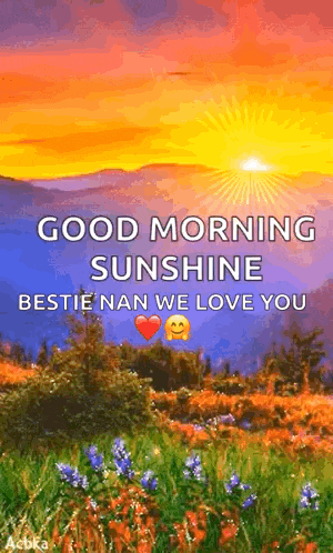 good morning sunshine bestie nan we love you with a sunset in the background .