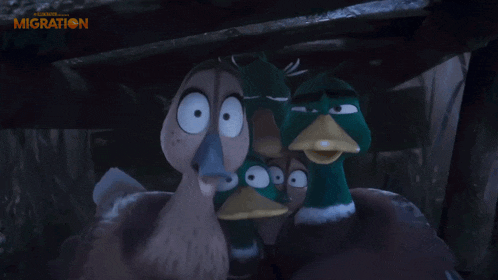 a group of cartoon ducks are looking out of a hole with the word migration on the bottom right