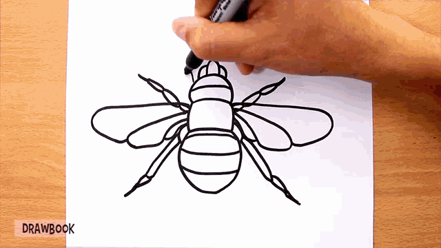 a person is drawing a bee on a piece of paper that says drawbook on the bottom