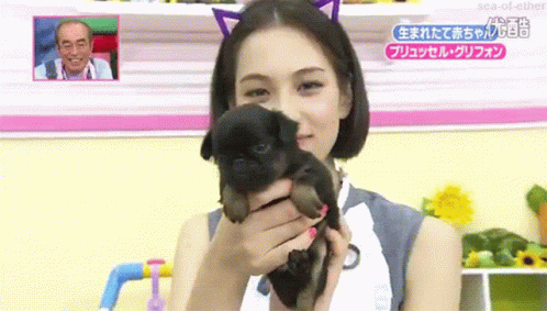 Puppy Cutie GIF - Puppy Cutie Kiko GIFs