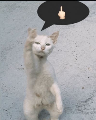 a white cat giving a middle finger with a speech bubble above it