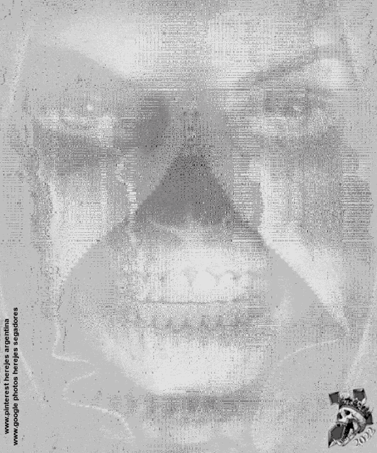 a black and white drawing of a face with a skull on the bottom right corner .