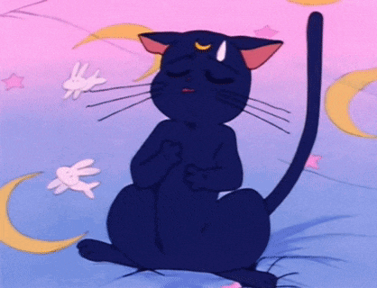 a black cat is sitting on a bed with its eyes closed and a rabbit flying around it .