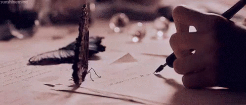 Poesía De Amor GIF - Butterfly Note Writing GIFs