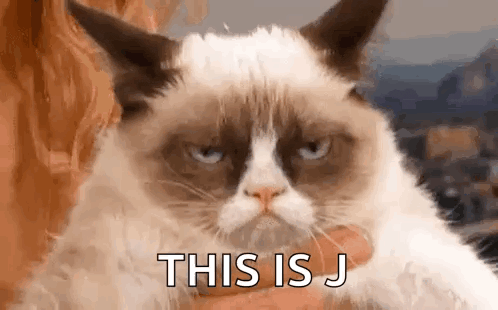 a person is holding a grumpy cat in their arms and the cat is looking at the camera .