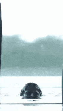 a woman 's head is sticking out of a glass box