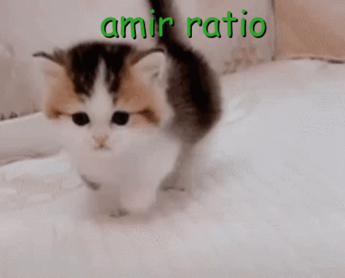 Amir Ratio GIF - Amir Ratio Amir Ratio GIFs