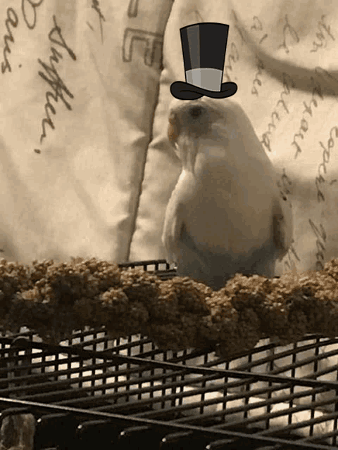 a white bird wearing a top hat is sitting on a cage