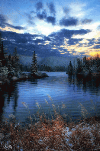 Nature Pond GIF